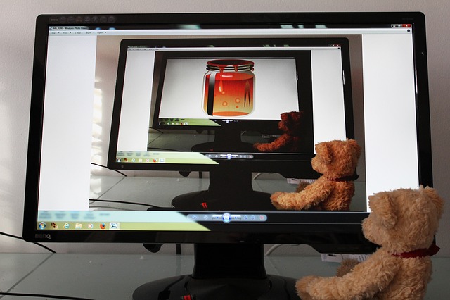 medvídek u monitoru